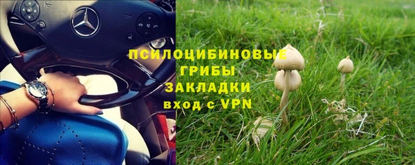 амф Алексеевка