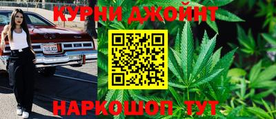 прущие грибы Усть-Джегута