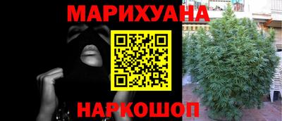 прущие грибы Усть-Джегута