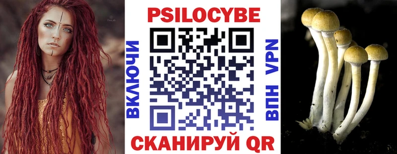 Галлюциногенные грибы Psilocybine cubensis  Аша 
