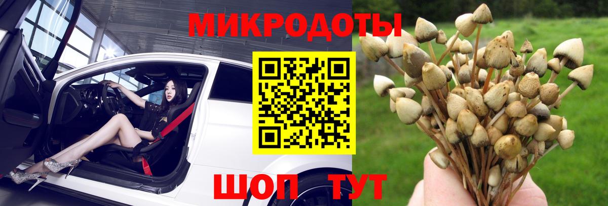 Галлюциногенные грибы GOLDEN TEACHER Аша